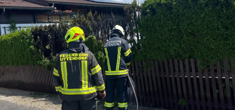 17.6.2025 Brand Gebüsch